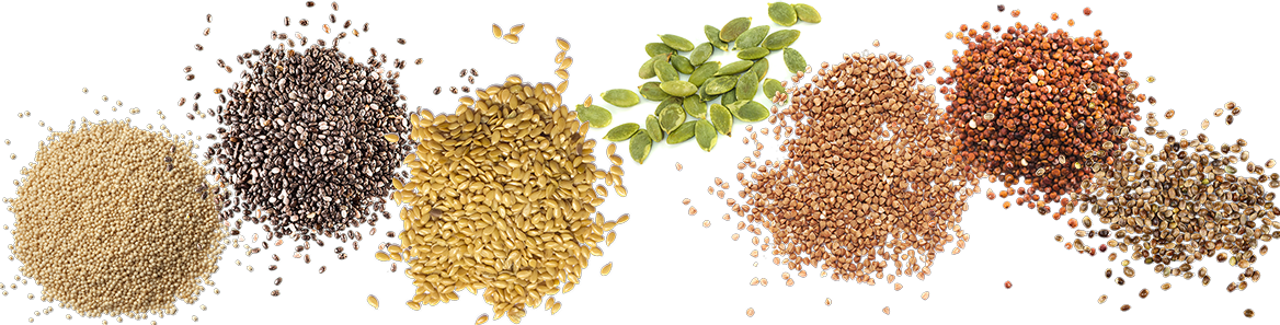 Learn More About Our Ingredients - Seed (1168x297), Png Download