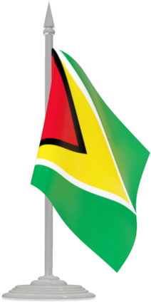 Flag Of Guyana - Jordan Flag Pole Png (640x480), Png Download