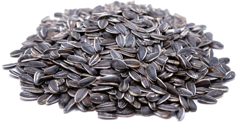 Sunflower Seeds Transparent Image - Gerbs Allergen Friendly Foods Unsalted Roasted Whole (844x652), Png Download