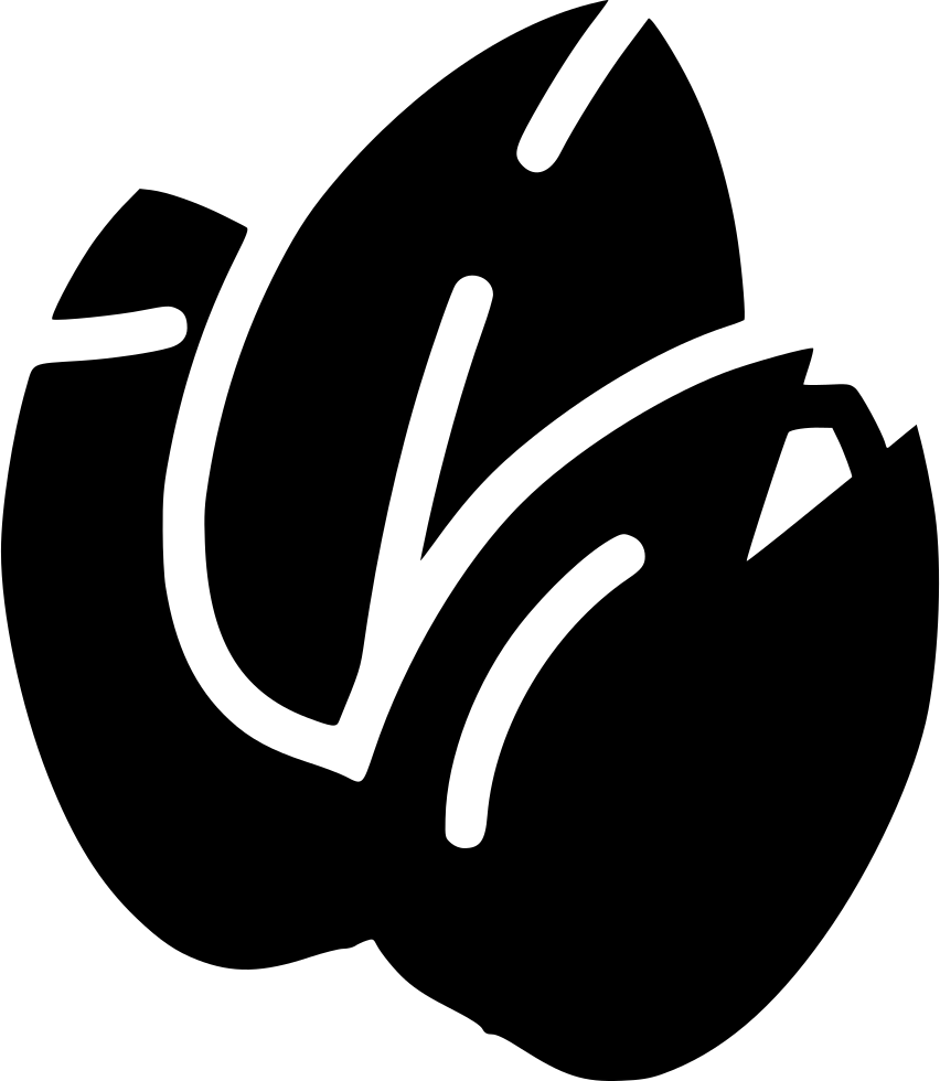 Png File - Seed Icon White Png (852x980), Png Download