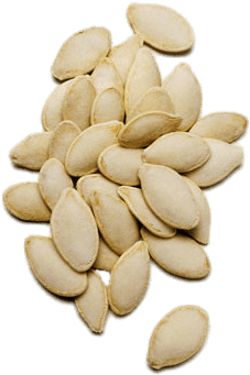 Semilla De Calabaza Larga (400x400), Png Download