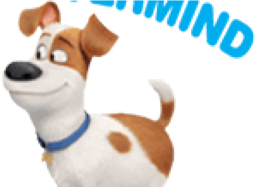 The Secret Life Of Pets (630x380), Png Download