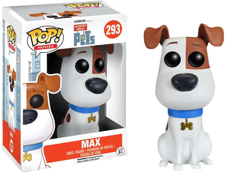 Max jack russell sales terrier
