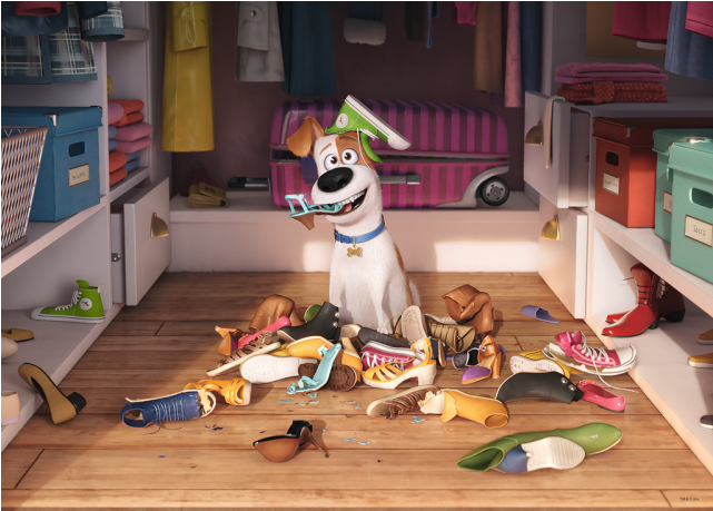 The Secret Life Of Pets - 4 Puzzles - The Secret Life Of Pets (640x640), Png Download