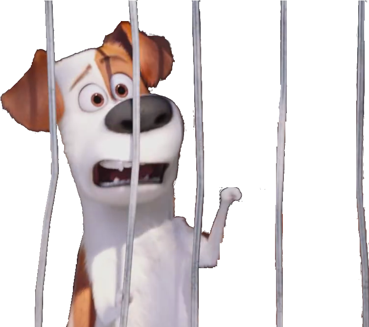 Max And Duke Cage Beta - Companion Dog (887x666), Png Download