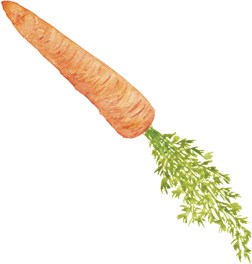 Orange Hand Painted Carrot Cartoon Vegetable Kitchen - Carrot (1024x1024), Png Download