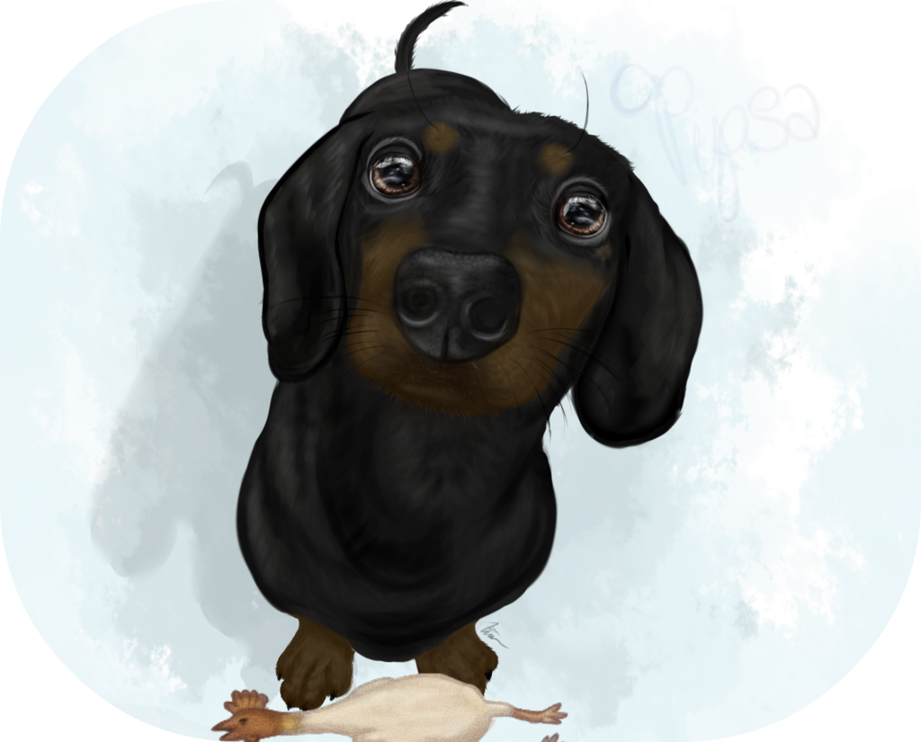 Pipsa By Xmeridiana - Dachshund (1024x825), Png Download