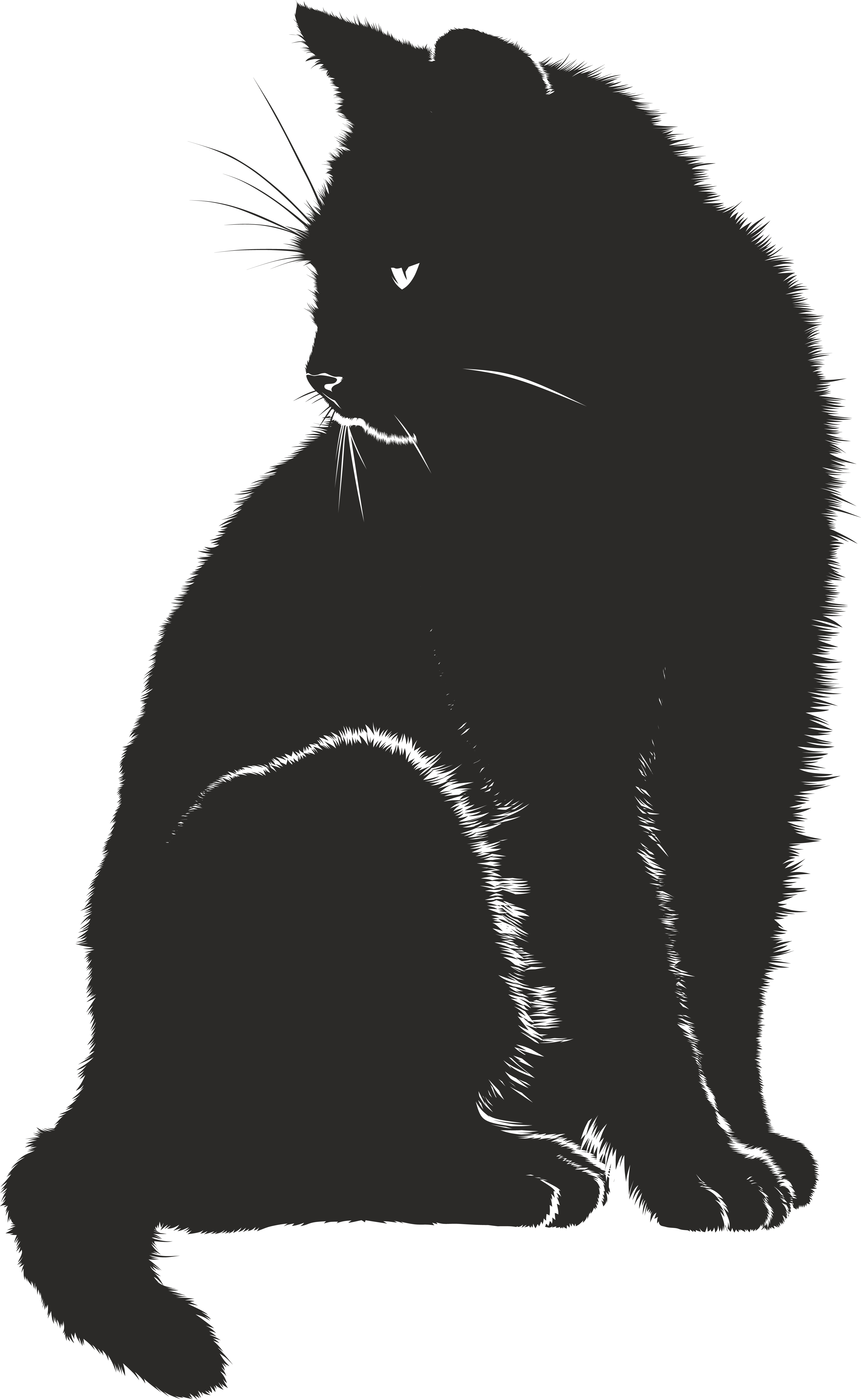 , , - Time Spent With Cats Is Never Wasted (4000x6505), Png Download