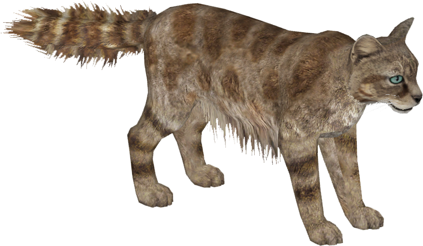 Andean Mountain Cat - Wiki (836x836), Png Download