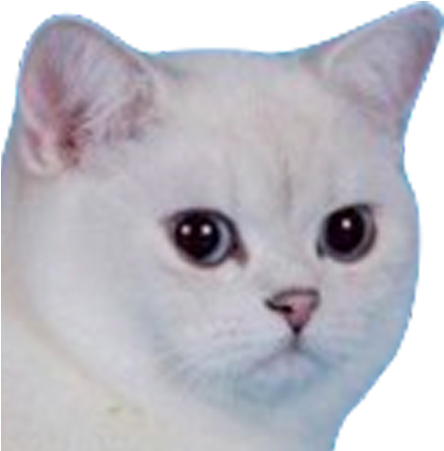 156kib, 800x450, Bielo =) - Don T Let Dumb Boys Control Your Emotions (800x450), Png Download