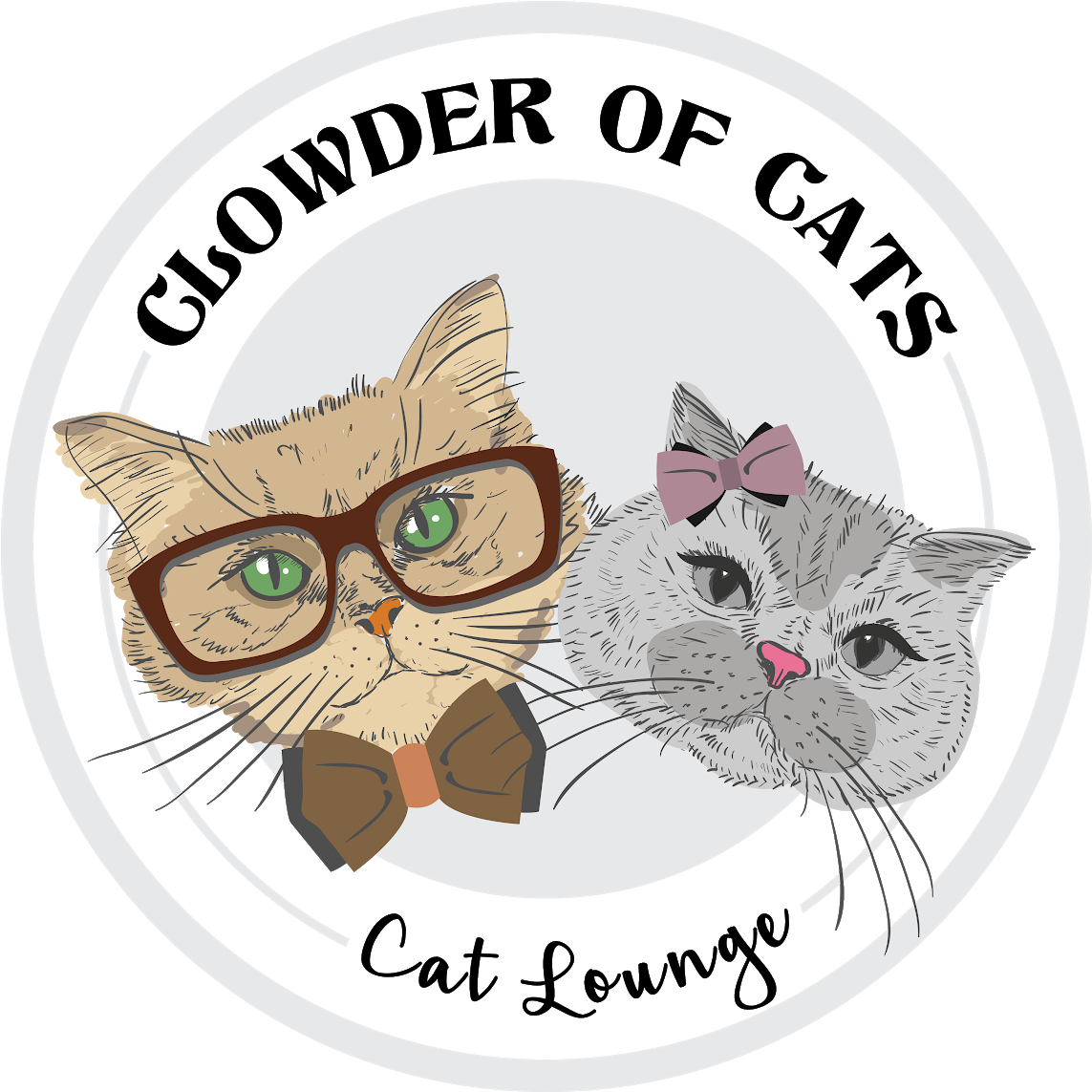 Cat (1334x1334), Png Download