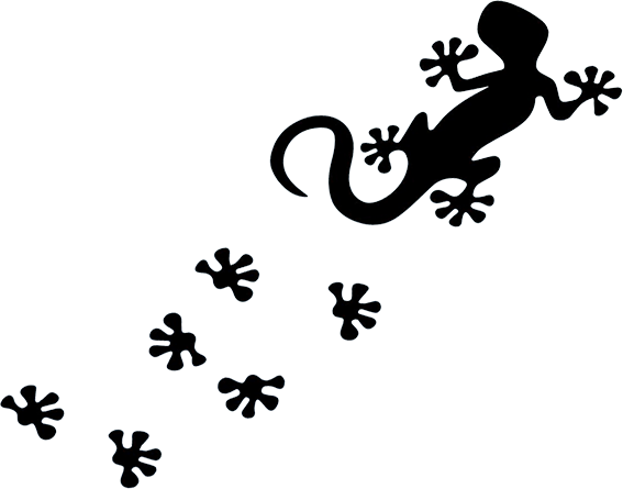 Salamander Footprints (567x445), Png Download