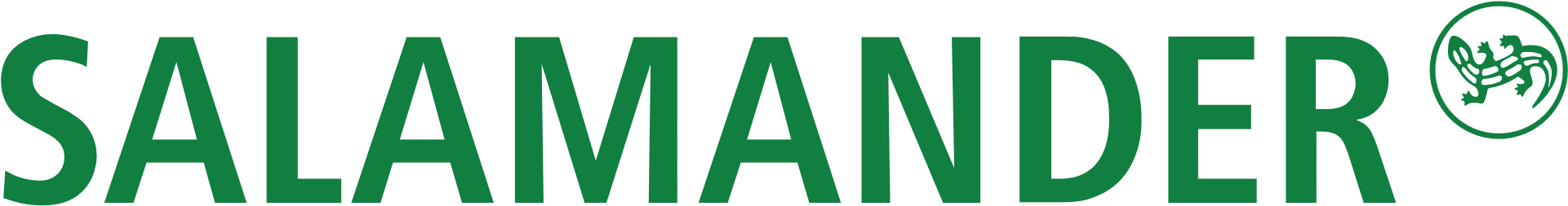 Salamander In Russia - Salamander Schuhe (1920x963), Png Download