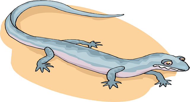 Sand, Blue, Cartoon, Ground, Art, Salamander, Reptile - Salamandra Animado Png (640x345), Png Download