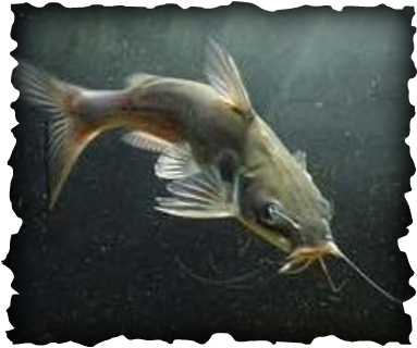 Satya Yoga (383x320), Png Download