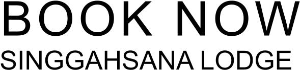 City Stay - Not Gonna Raichu A Love (720x300), Png Download