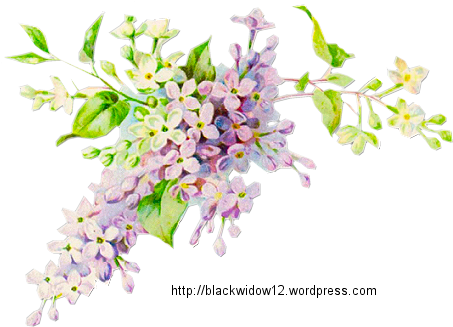 Lilac No Drop Shadow - Vintage Illustration Blue Flowers (468x336), Png Download