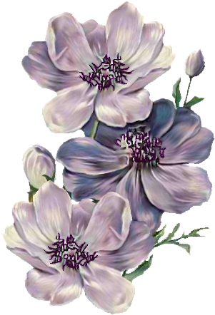 Poppies Blue - Victorian Flowers Purple Art (300x455), Png Download