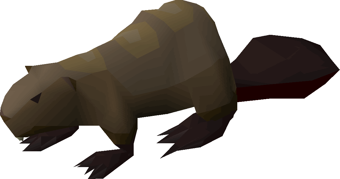Beaver Pet - Beaver Pet Osrs (1142x601), Png Download