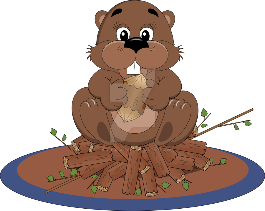 Beaver Clipart Sick - Glücklicher 1. Kanada-tag Mit Biber Und Karte (900x715), Png Download