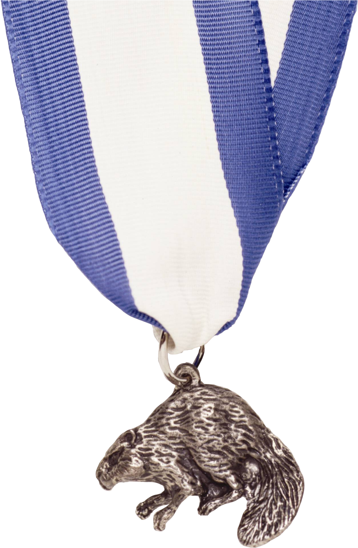 Silver Beaver Medal (1000x1243), Png Download