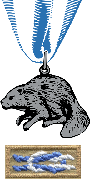 Silver-beaver - Silver Beaver Award (300x600), Png Download