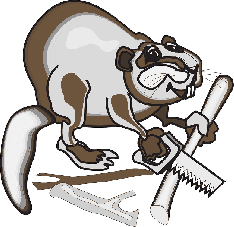 Mb Image/png - Clip Art (800x775), Png Download