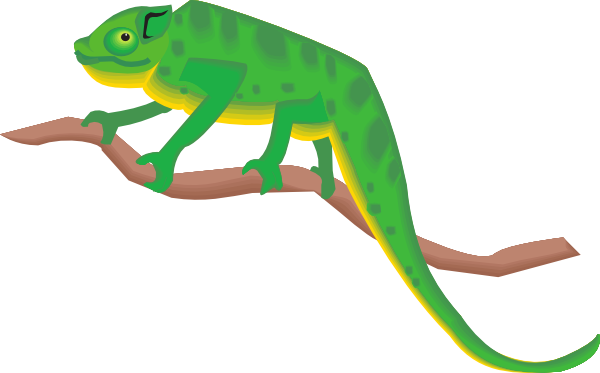 Chameleon On A Branch Clip Art - Chameleon Clipart Png (600x373), Png Download