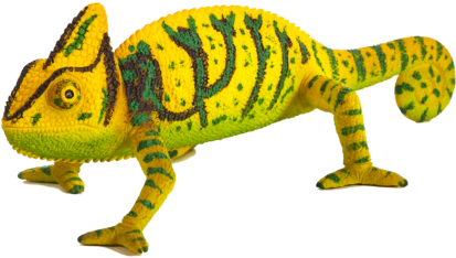 Chameleon - Chameleon Mojo (540x478), Png Download