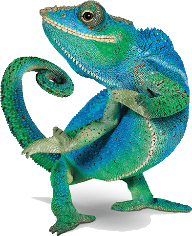 Telus Chameleon (500x500), Png Download
