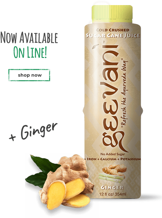 Info Helthebrands - Plant Seed 50 Pcs/bag Ginger Seeds Balcony Organic (600x800), Png Download