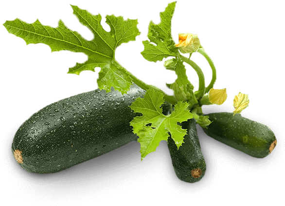 Zucchini (868x585), Png Download