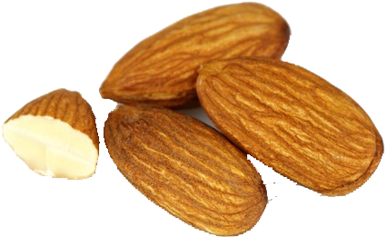 Almond Png - Almond (450x300), Png Download