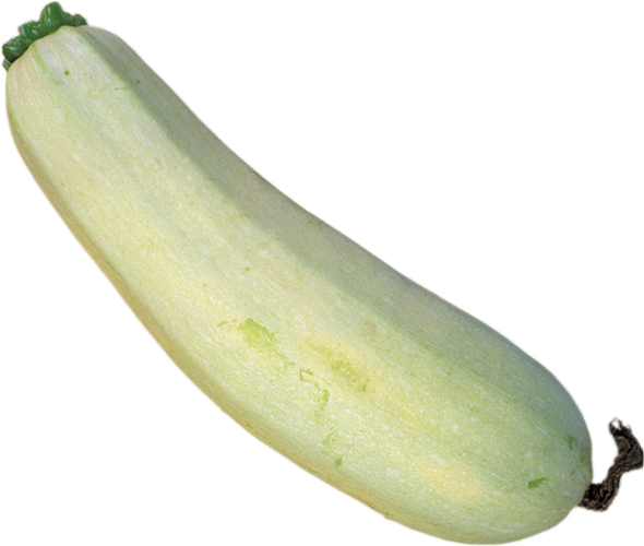 Food (590x500), Png Download