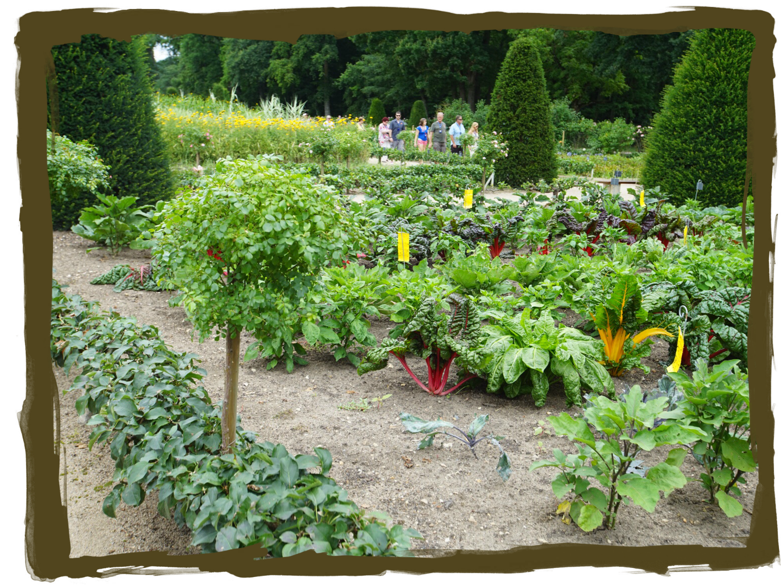 Gardens - Botanical Garden (1564x1173), Png Download