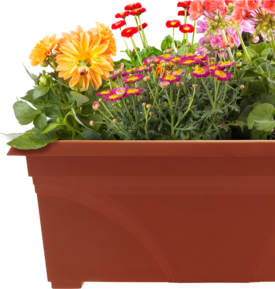 Pots Of Plants Png (1115x1000), Png Download