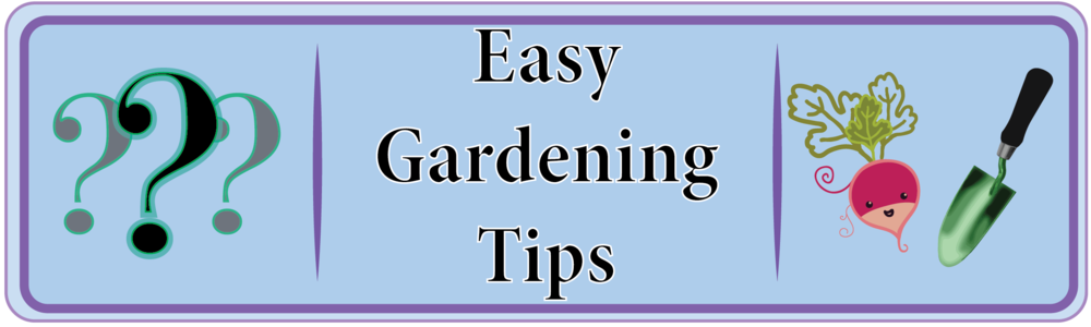 Page Gardening Tips 3 - Lilac (1000x300), Png Download