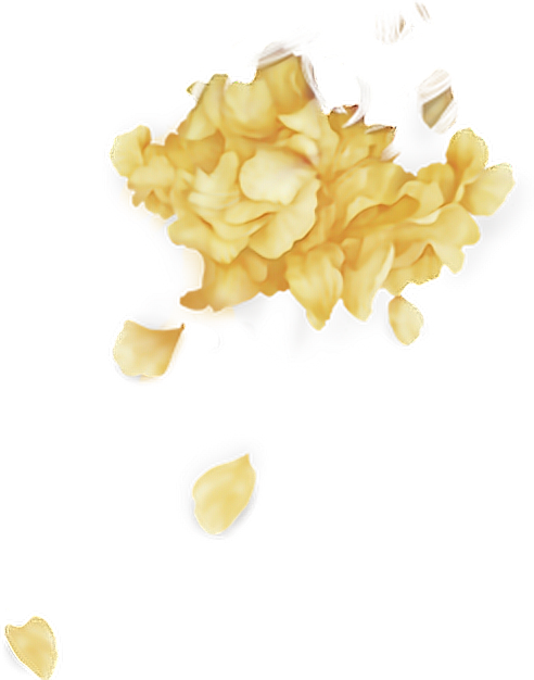 Report Abuse - Troye Sivan Petals Png (492x626), Png Download