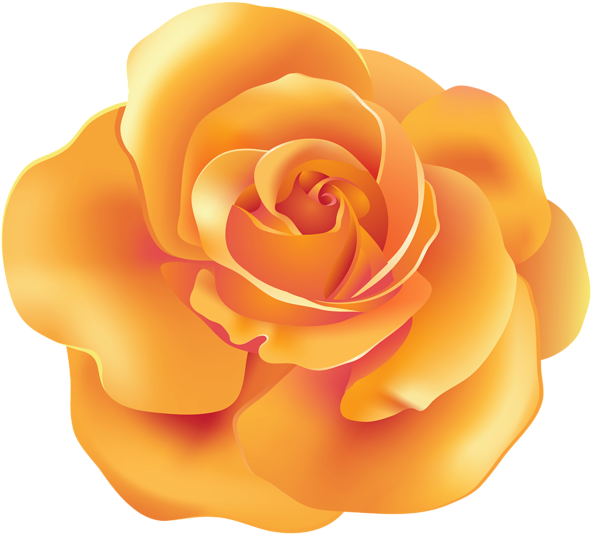 Rose Png Image With Transparent Background - Rose (600x546), Png Download