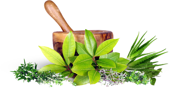More Info - Easy Guide To Ayurveda: The Natural Way To Wholeness (699x362), Png Download