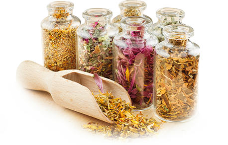 Abundance In Our Own Surroundings - Nature's Medicine: The Everyday Guide To Herbal Remedies (458x292), Png Download