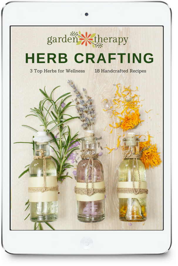 Herb Crafting Ebook - French Aromatherapy Jen O Sullivan (768x1056), Png Download