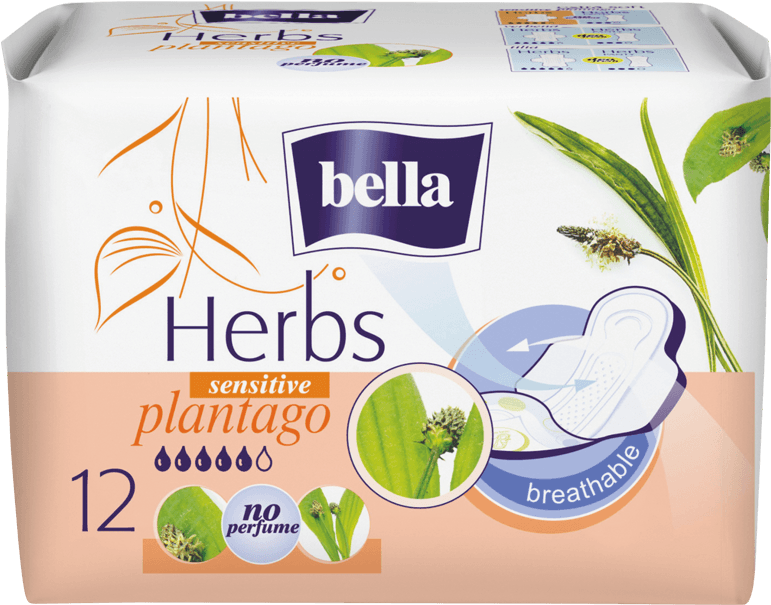 Bella Herbs Plantago - Bella Herbs (895x895), Png Download