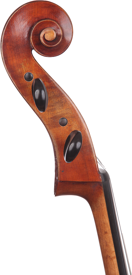 Cello (461x942), Png Download