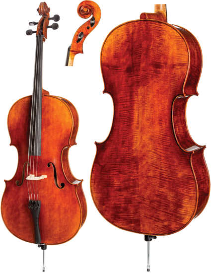 Wvs "artist" C30 Cello - Cello (425x550), Png Download