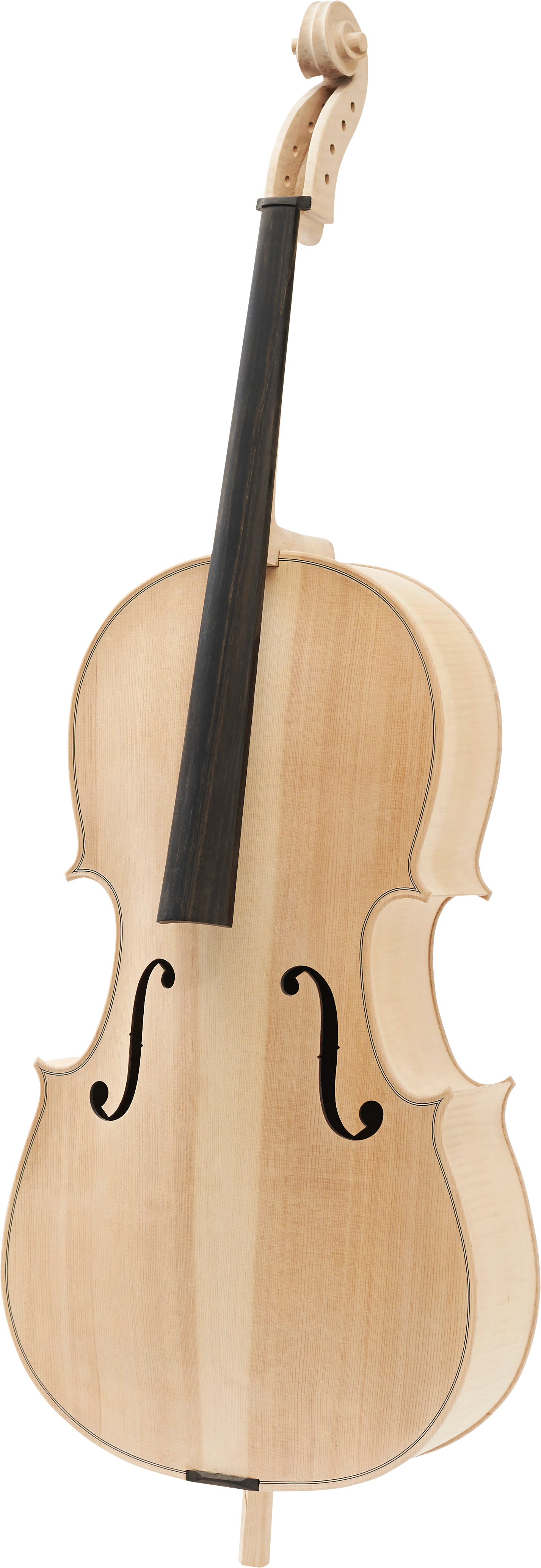 Viola (1600x4300), Png Download