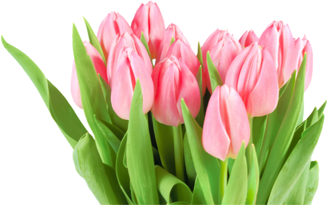 Flowers For Women's Day (650x406), Png Download