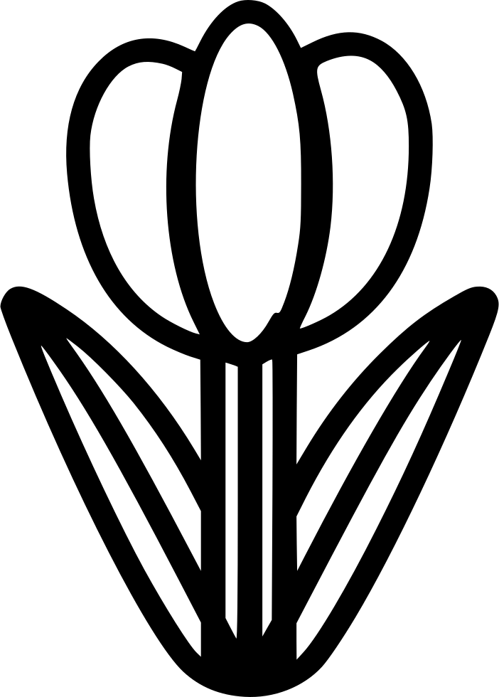 Png File - Portable Network Graphics (702x980), Png Download