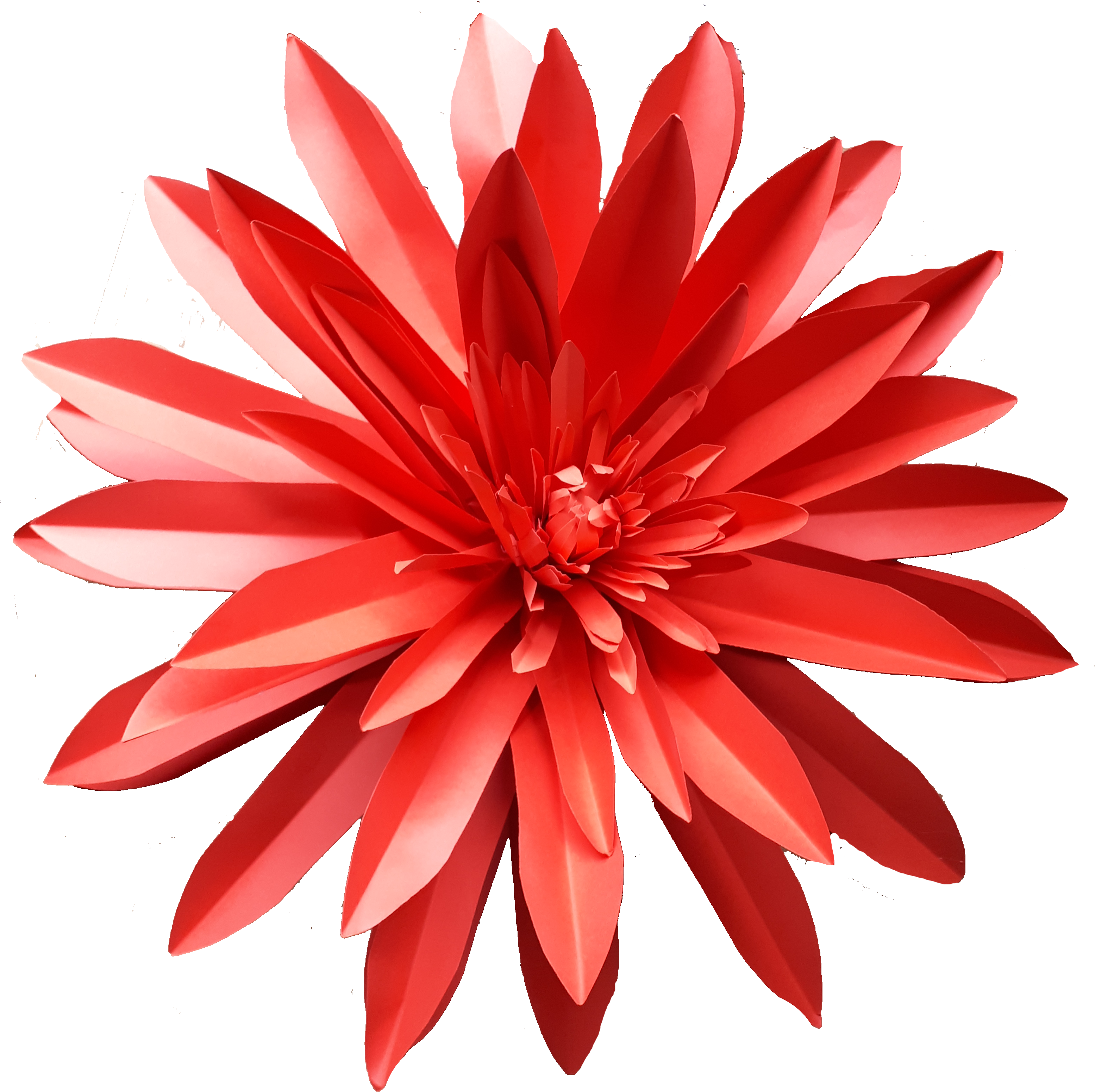 Astra Red 1 Png - Scaevola Aemula (3109x3168), Png Download