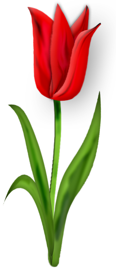 Lacarolita My Lady Bugs - Flower (238x550), Png Download